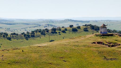 アルジュストレル