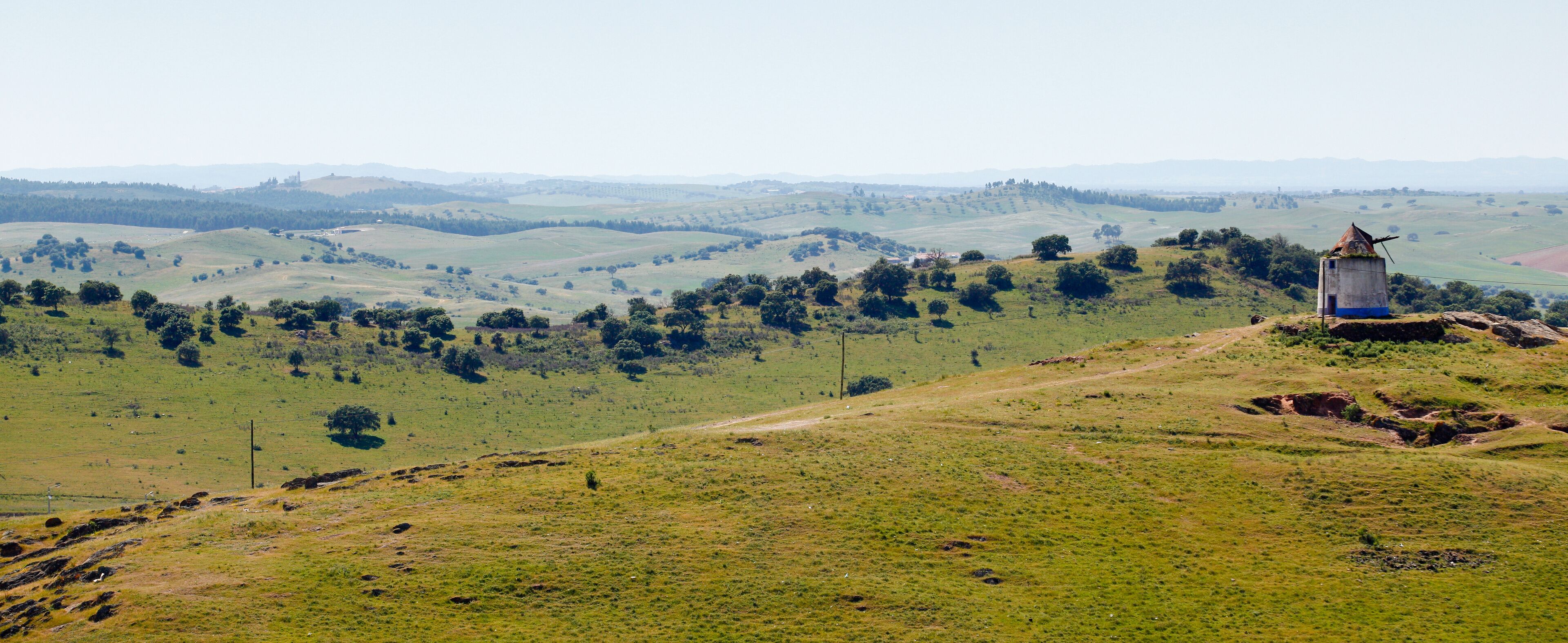 A rural landscape with rolling hills, scattered trees, and a windmill on a hill.