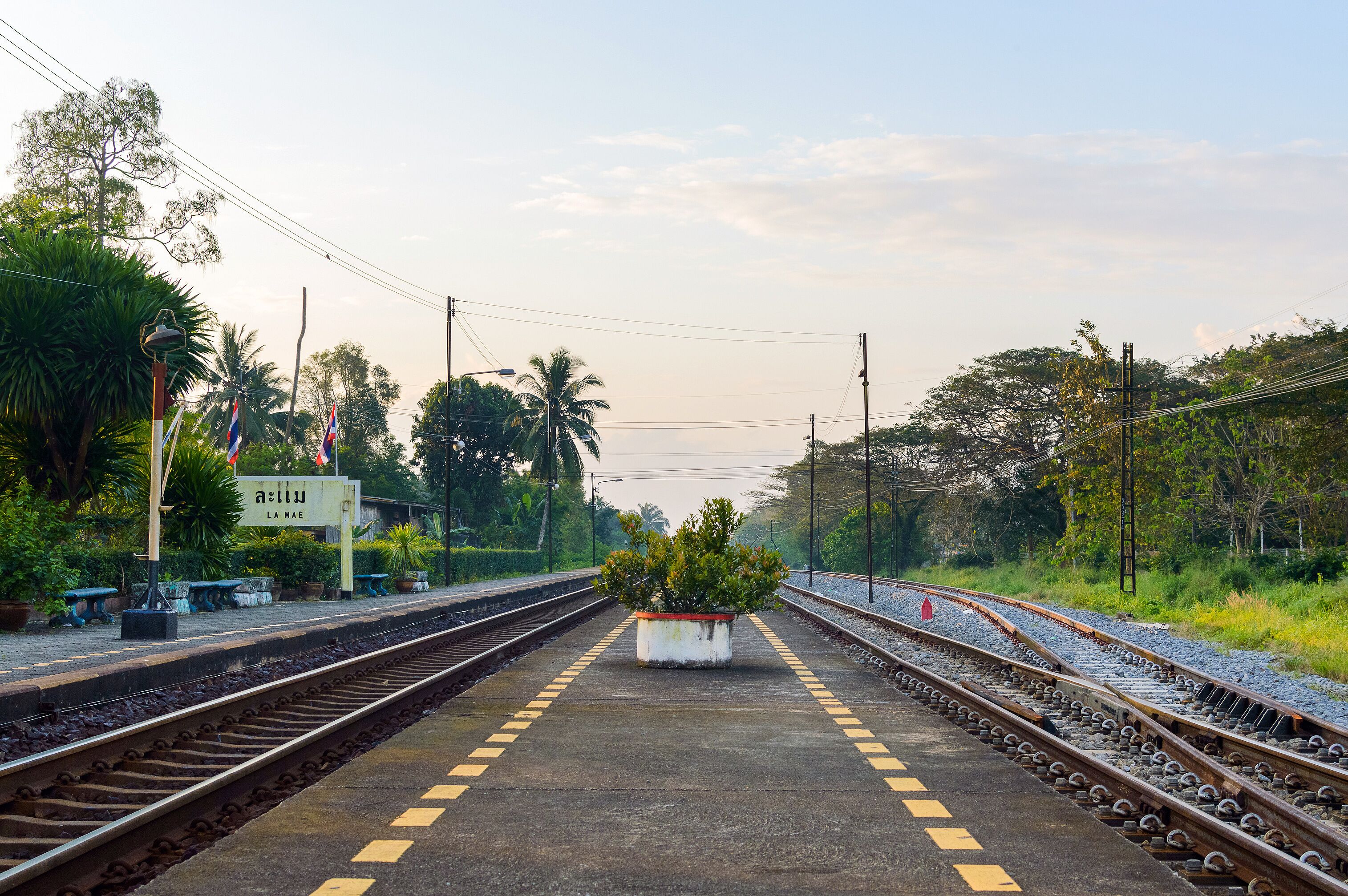 A railway platform with tracks, a planter with greenery, and a sign with text.