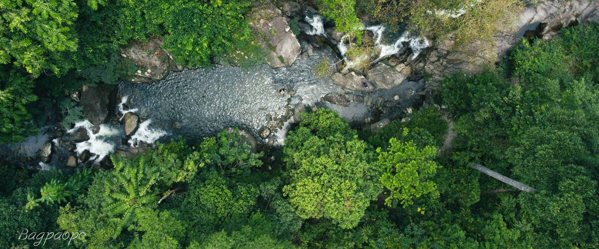 An aerial view of a river flowing through a dense forest with rocky outcrops and lush greenery.