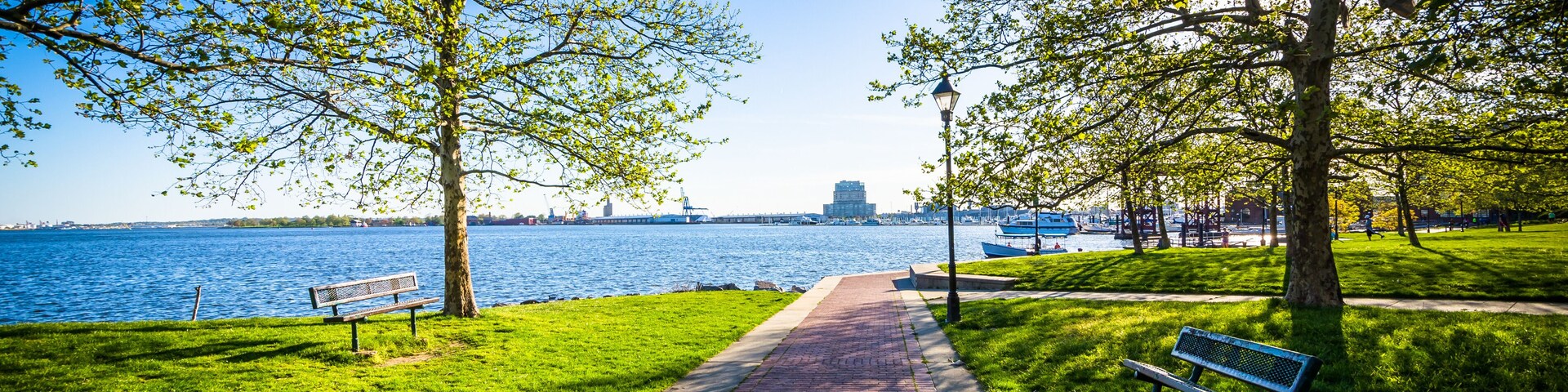 Trees along a walkway at Canton Waterfront Park, in Baltimore, M