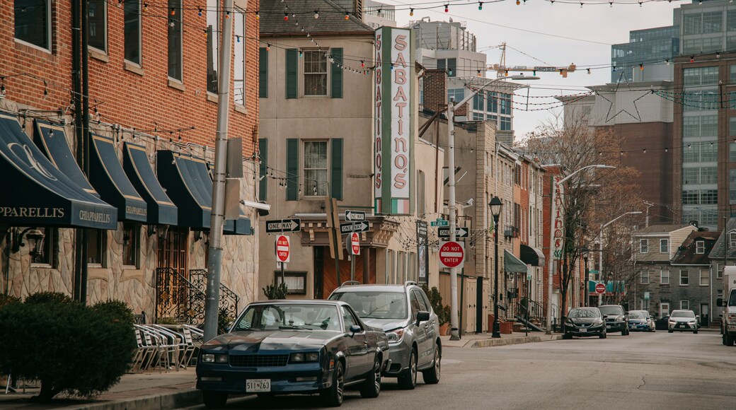 Little Italy featuring a city