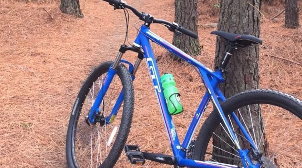 Some easy riding through Brunswick Nature Park. Nice trails.