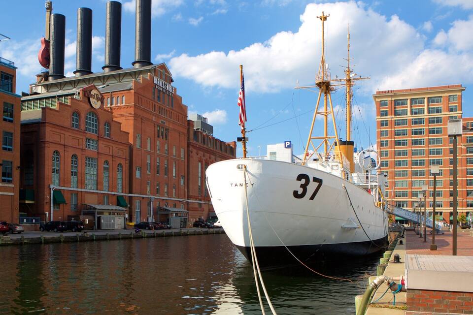 Een wit schip met nummer 37 afgemeerd in een haven.