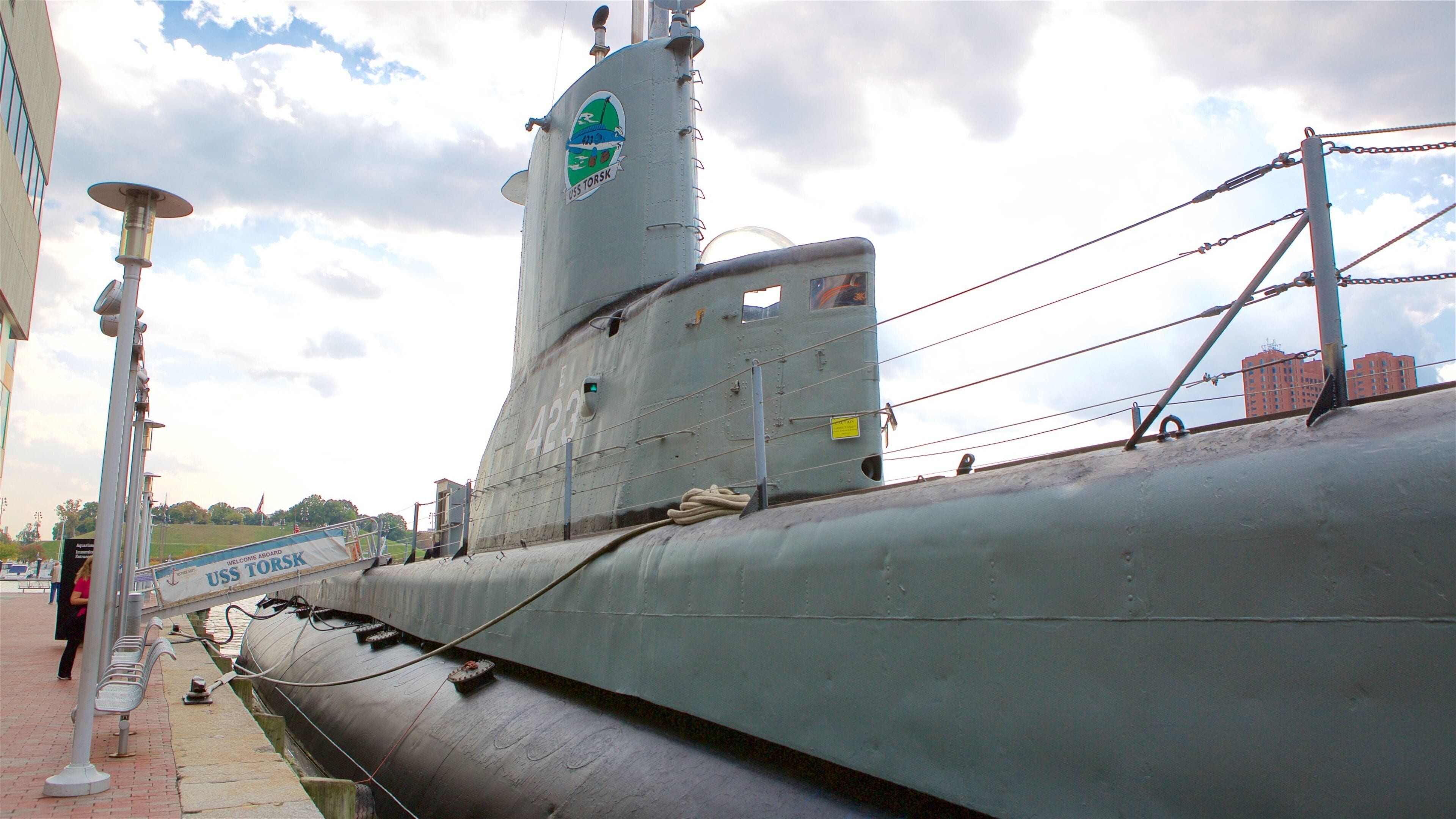 USS Torsk que incluye artículos militares y una bahía o puerto