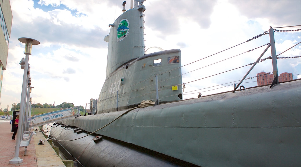 USS Torsk que incluye artículos militares y una bahía o puerto
