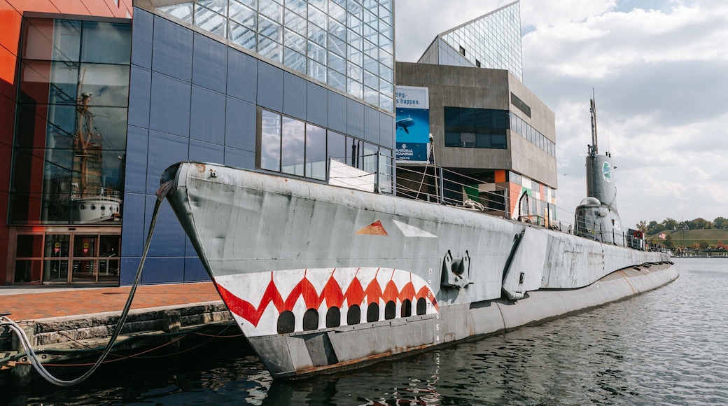 USS Torsk showing a marina