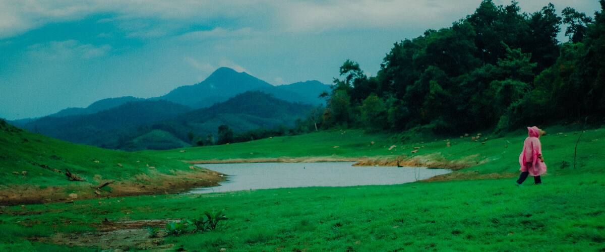 A person walking in a green field with a mountain in the background.
