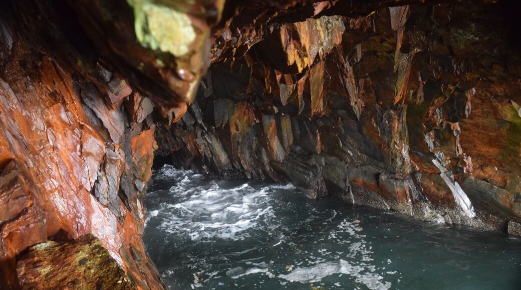 A walk along the cliff top and down into some of the caves that were the site of the Canadian gold rush. Thunderous sounds echo from somewhere deep within the rocks even when the waves look relatively gentle.