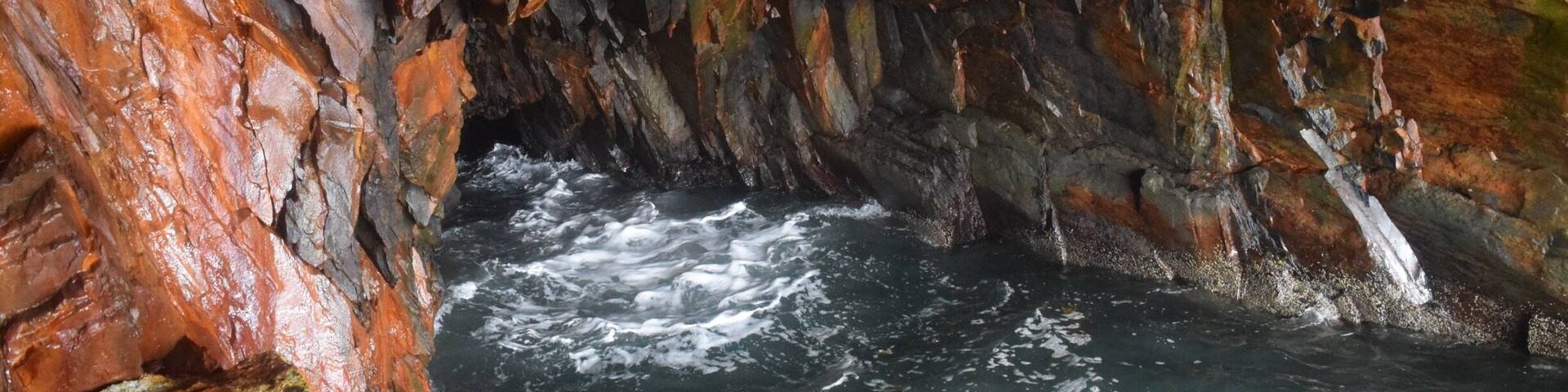 A walk along the cliff top and down into some of the caves that were the site of the Canadian gold rush. Thunderous sounds echo from somewhere deep within the rocks even when the waves look relatively gentle.