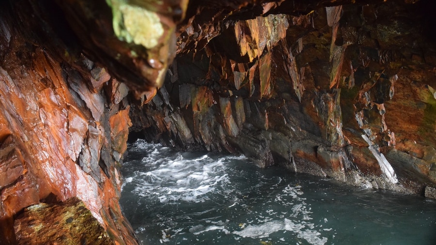 A walk along the cliff top and down into some of the caves that were the site of the Canadian gold rush. Thunderous sounds echo from somewhere deep within the rocks even when the waves look relatively gentle.