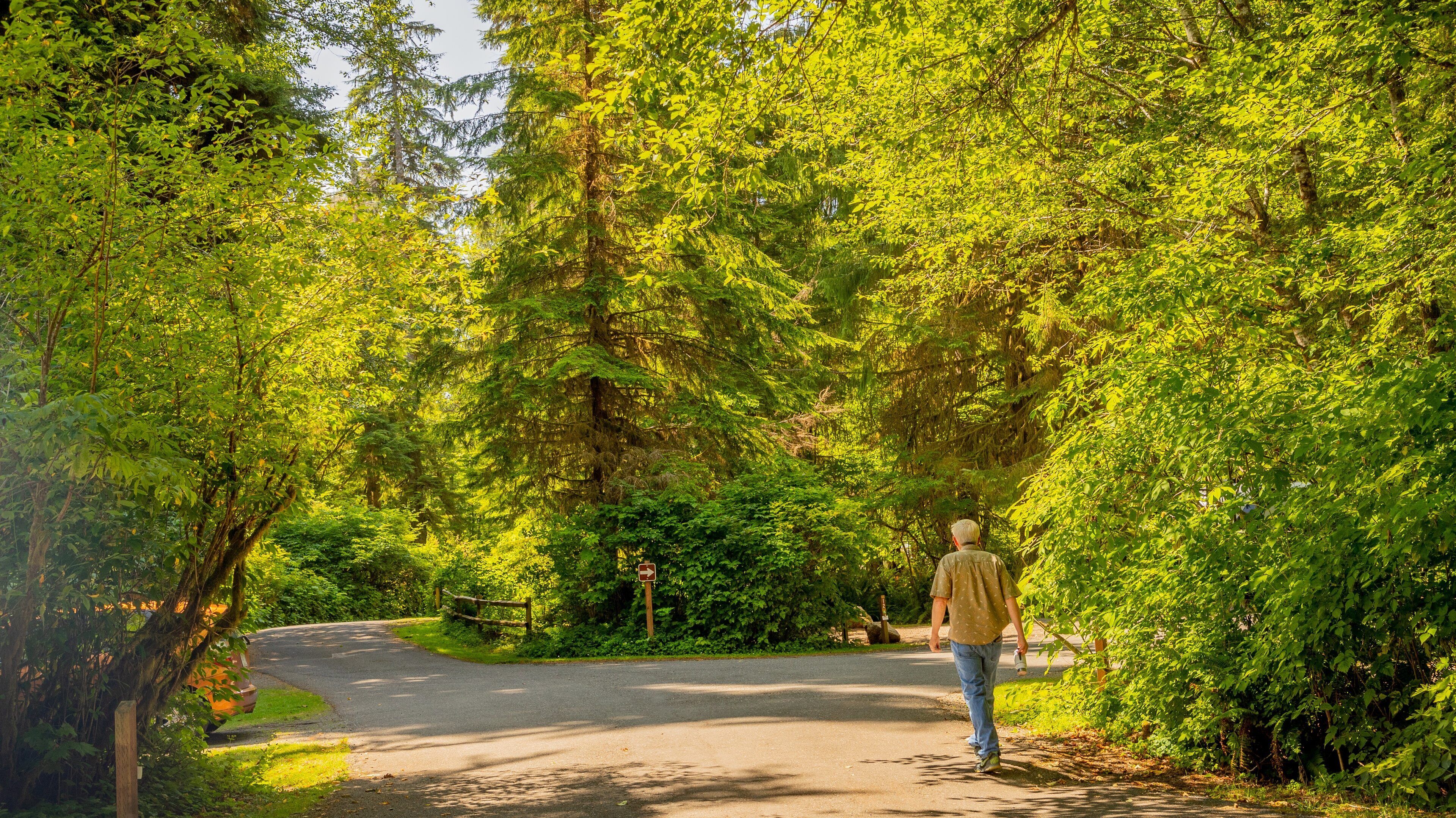 Bogachiel State Park which includes a park as well as an individual male