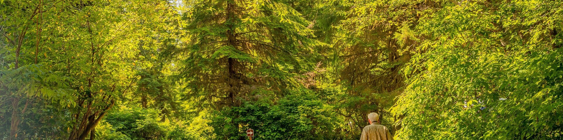 Bogachiel State Park which includes a park as well as an individual male