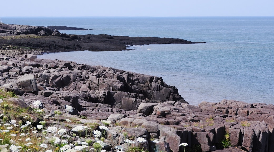 #BVSBlue Take the ferry from St. John, New Brunsnwick, CA. Turn right and up the road a bit is the most exquisite view of the Bay of Fundy.