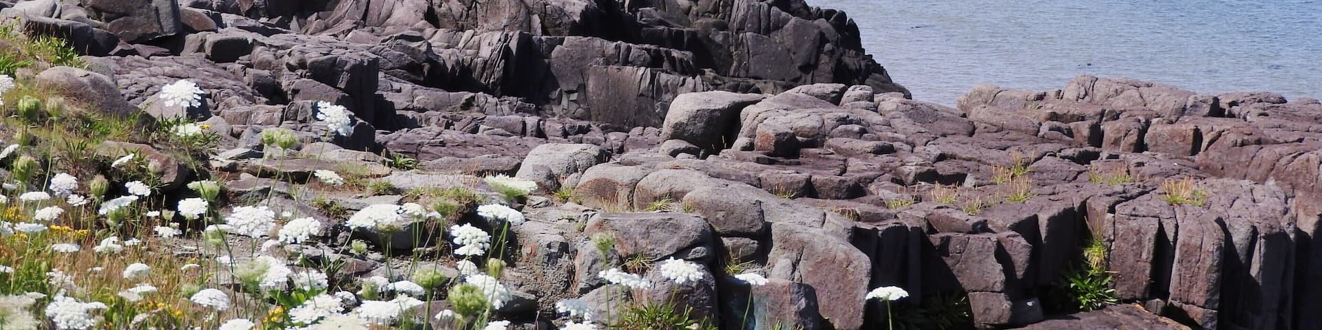 #BVSBlue Take the ferry from St. John, New Brunsnwick, CA. Turn right and up the road a bit is the most exquisite view of the Bay of Fundy.