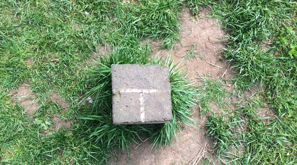 Stone that marks borders of Luxembourg, Germany, and Belgium🇱🇺🇩🇪🇧🇪