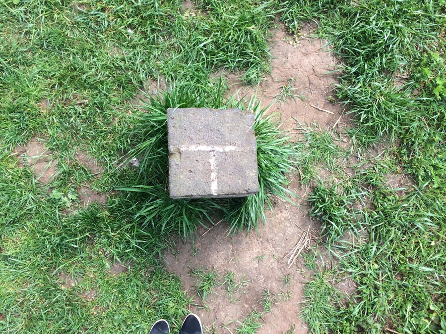 Stone that marks borders of Luxembourg, Germany, and Belgium🇱🇺🇩🇪🇧🇪