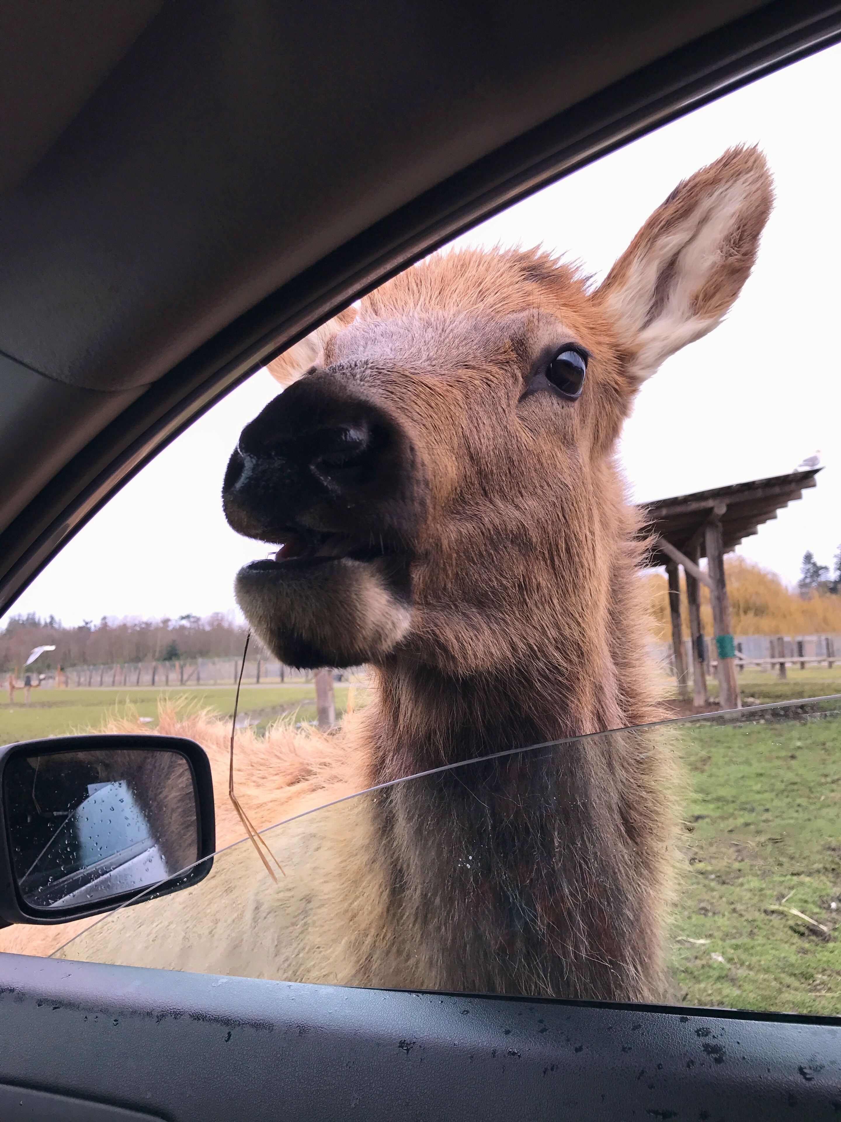 Can I see your ID please #OnTheRoad