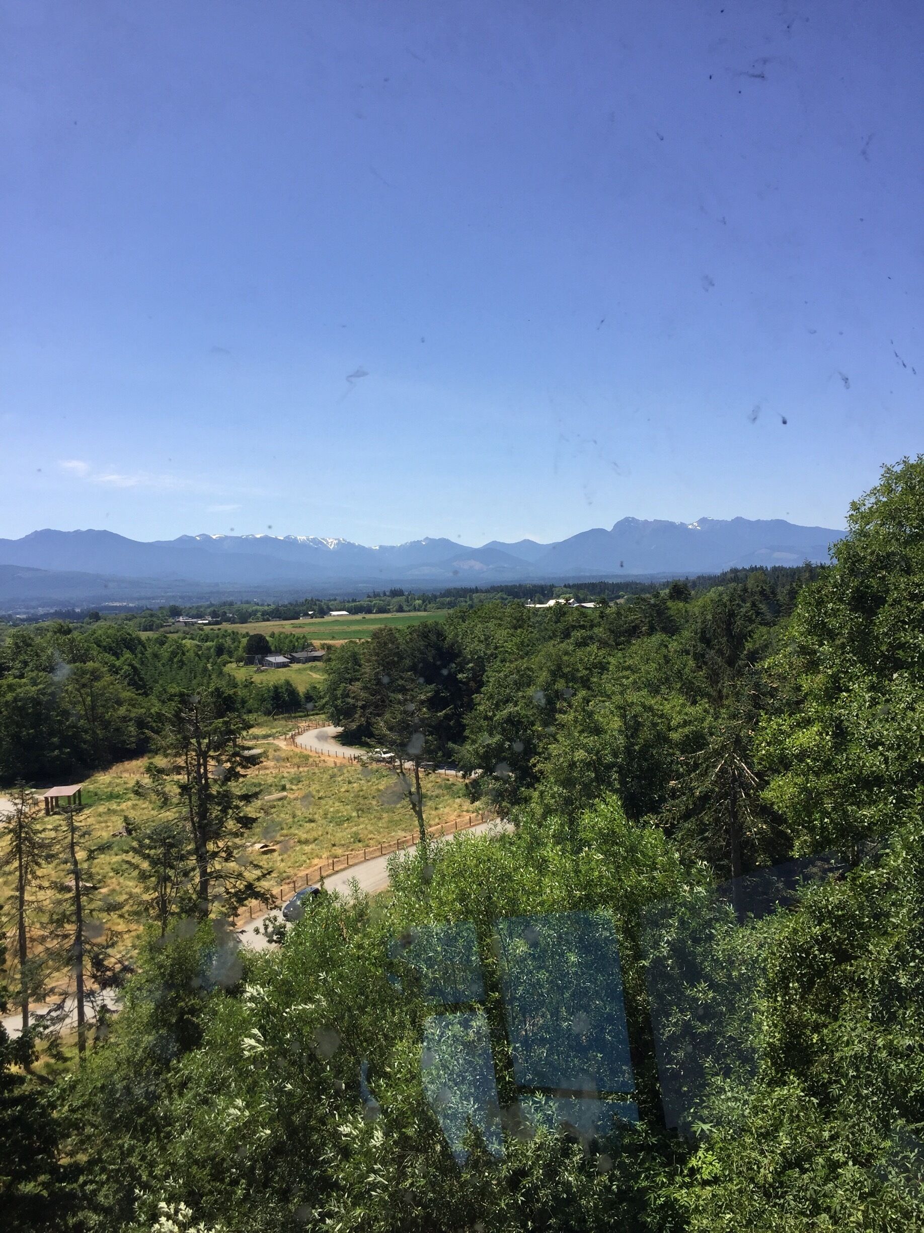 Not a fan of watching meat eaters be given bread. I worry about how their animals are being kept they look so sad.