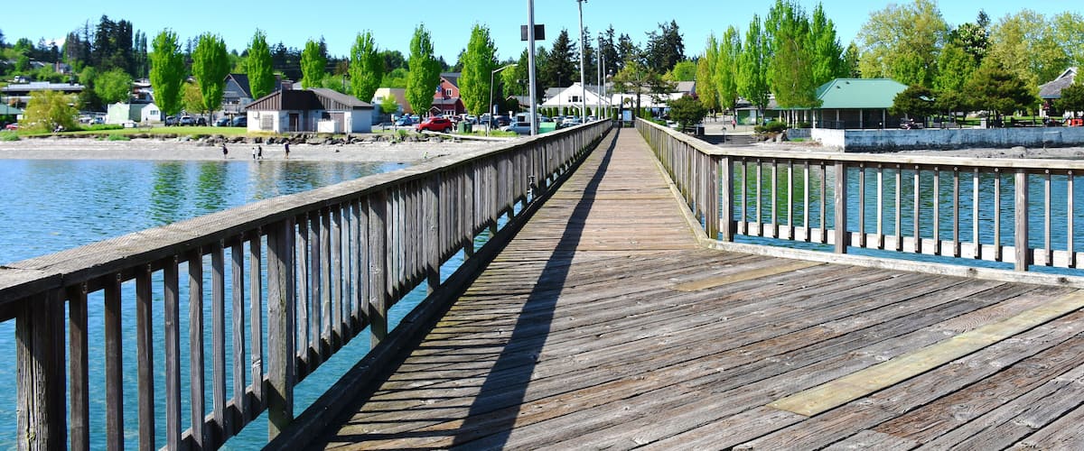 A wooden pier extending over calm water, surrounded by trees and buildings.