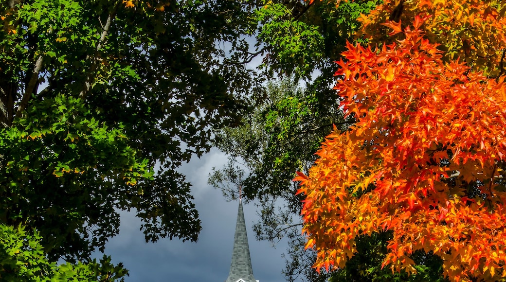 Condado de Kings