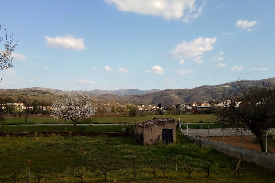 A rural landscape with a small building, a tree, and a clear sky.