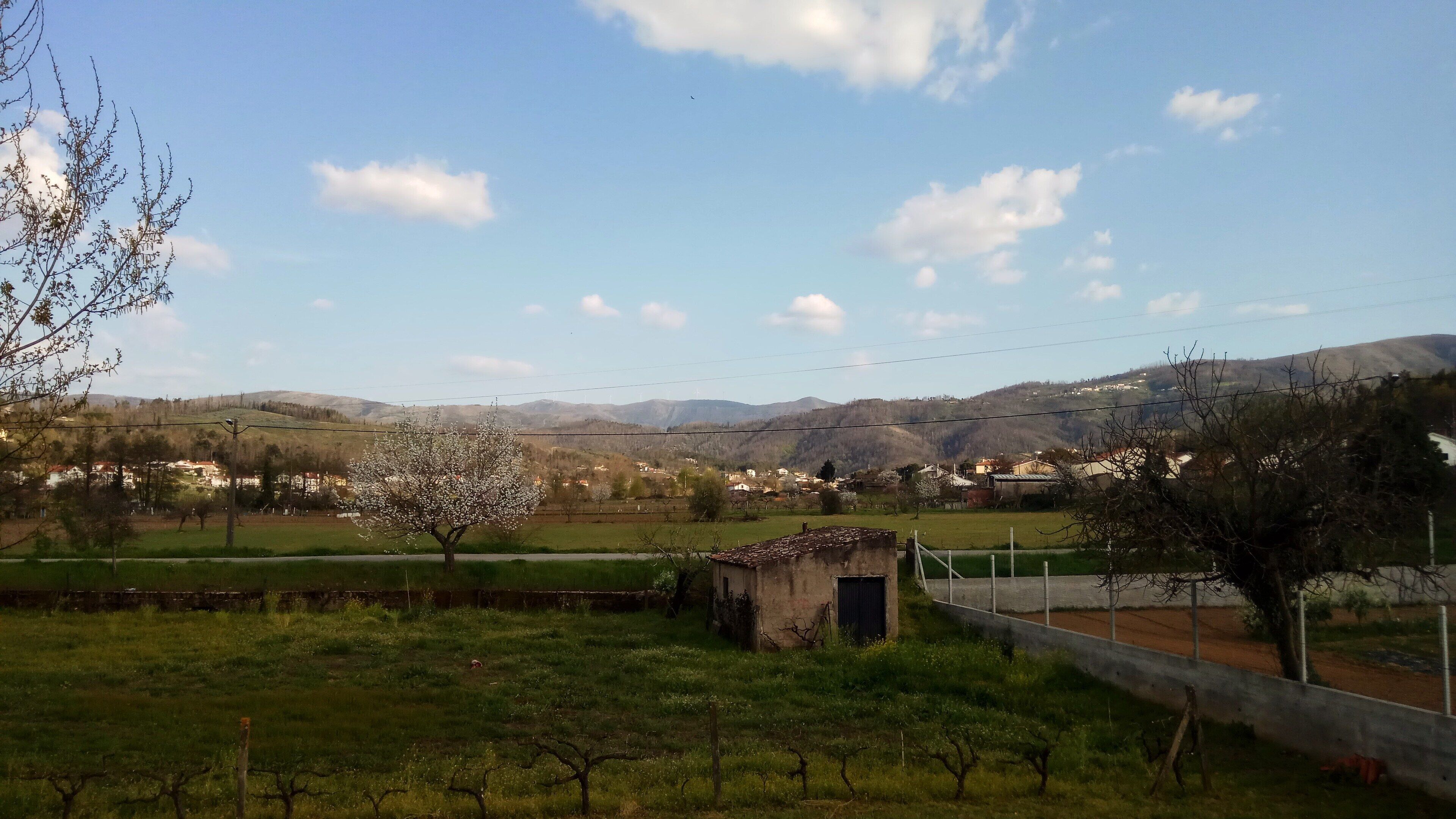 A rural landscape with a small building, a tree, and a clear sky.