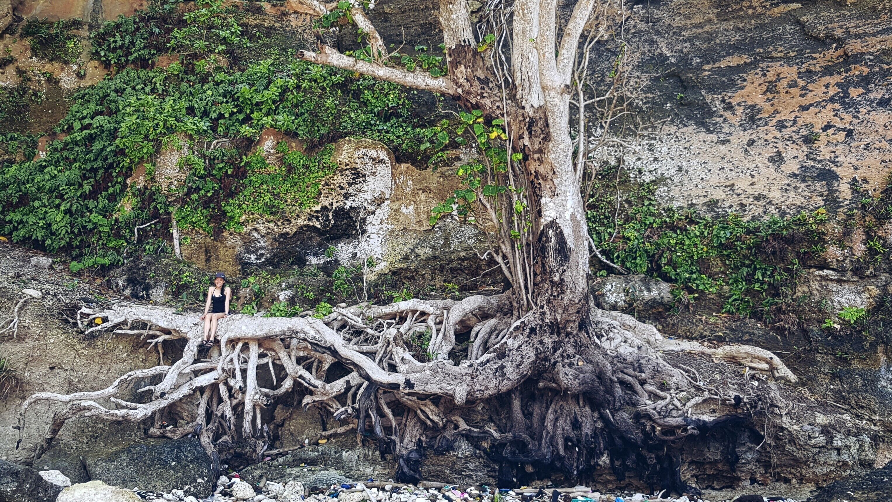 Meet me when the forest touch the sea.