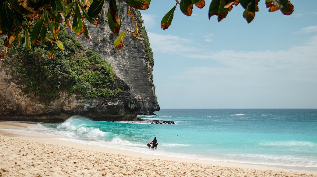 Kelingking Beach, nusa Penida