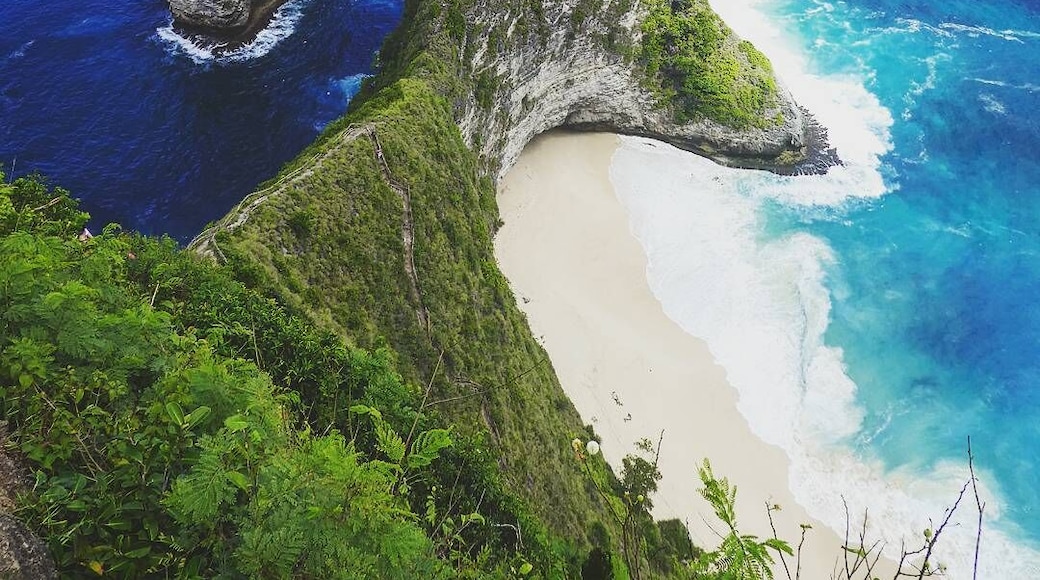 #travel #bali #nusapenida #ocean
Another scenic point on the island of Nusa Penida off the coast south east of Bali which has steadily growing in fame for last couple of years. The #Kelingking Beach with its weird shape can only be viewed from a cliff as there is no walking path that goes down to the beach.
When arriving at Nusa Penida there will be a lot of stand alone rental cars and drivers ready to offer their service. The starting price offer will always be overpriced especially if they see you are a foreign tourist so always try to haggle with them first. :)