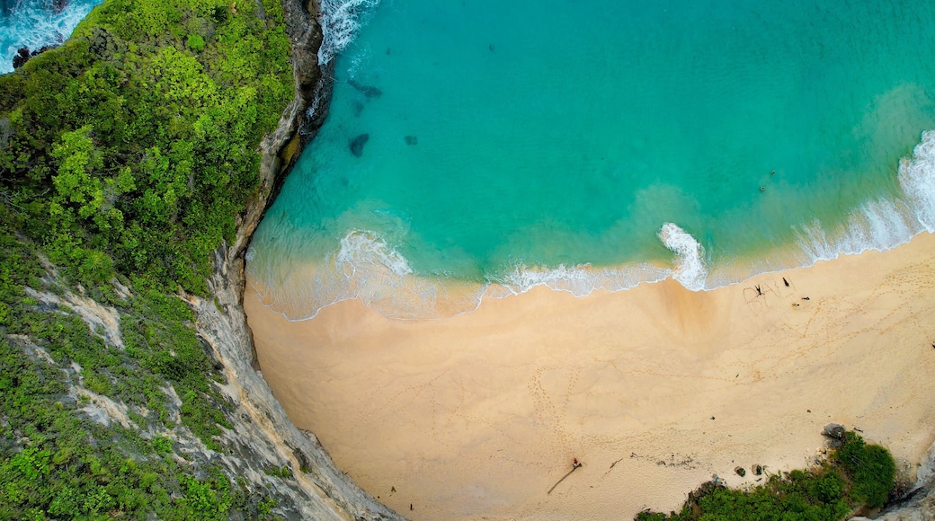 Drone Aerial Famous Kelingking Beach in Nusa Penida, Indonesia Zoom Shot