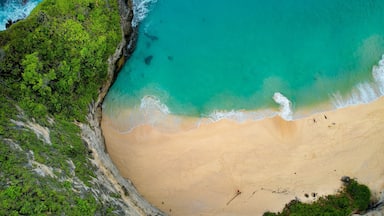 Drone Aerial Famous Kelingking Beach in Nusa Penida, Indonesia Zoom Shot