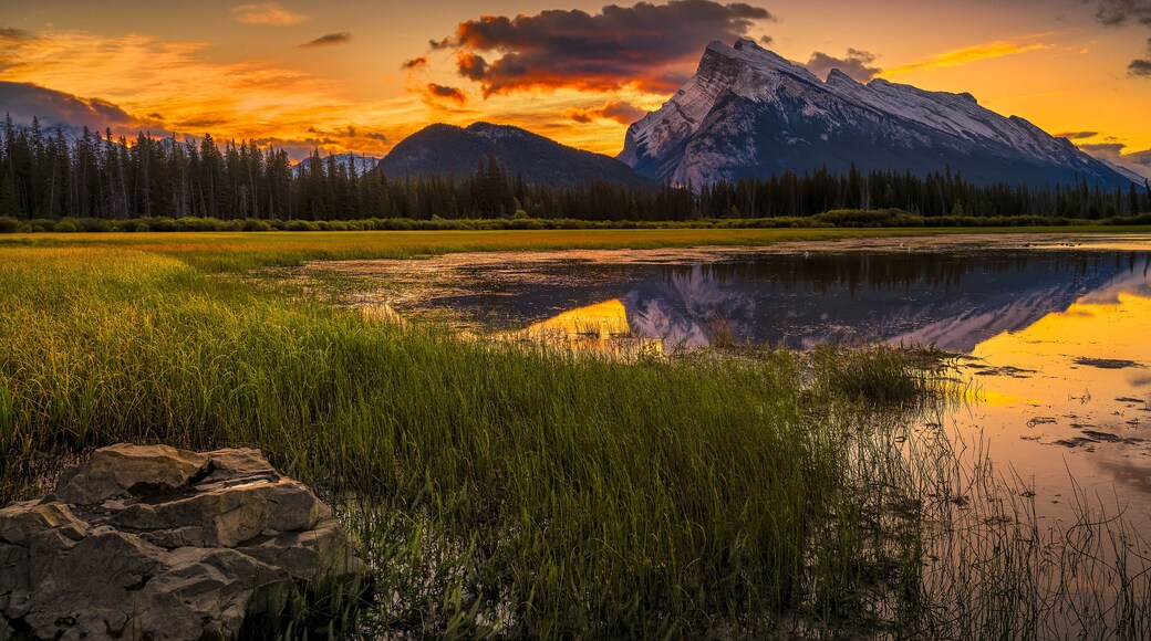 Golden early fall sunrise over the Canadian Rockies and Vermilion Lakes on the outskirts of Banff, Canada