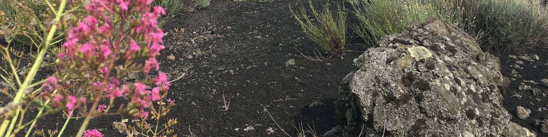 Going up to Mt Etna is a quite peaceful, otherworldly adventure, do not miss an opportunity to climb high above this beautiful island for a touch of heaven...