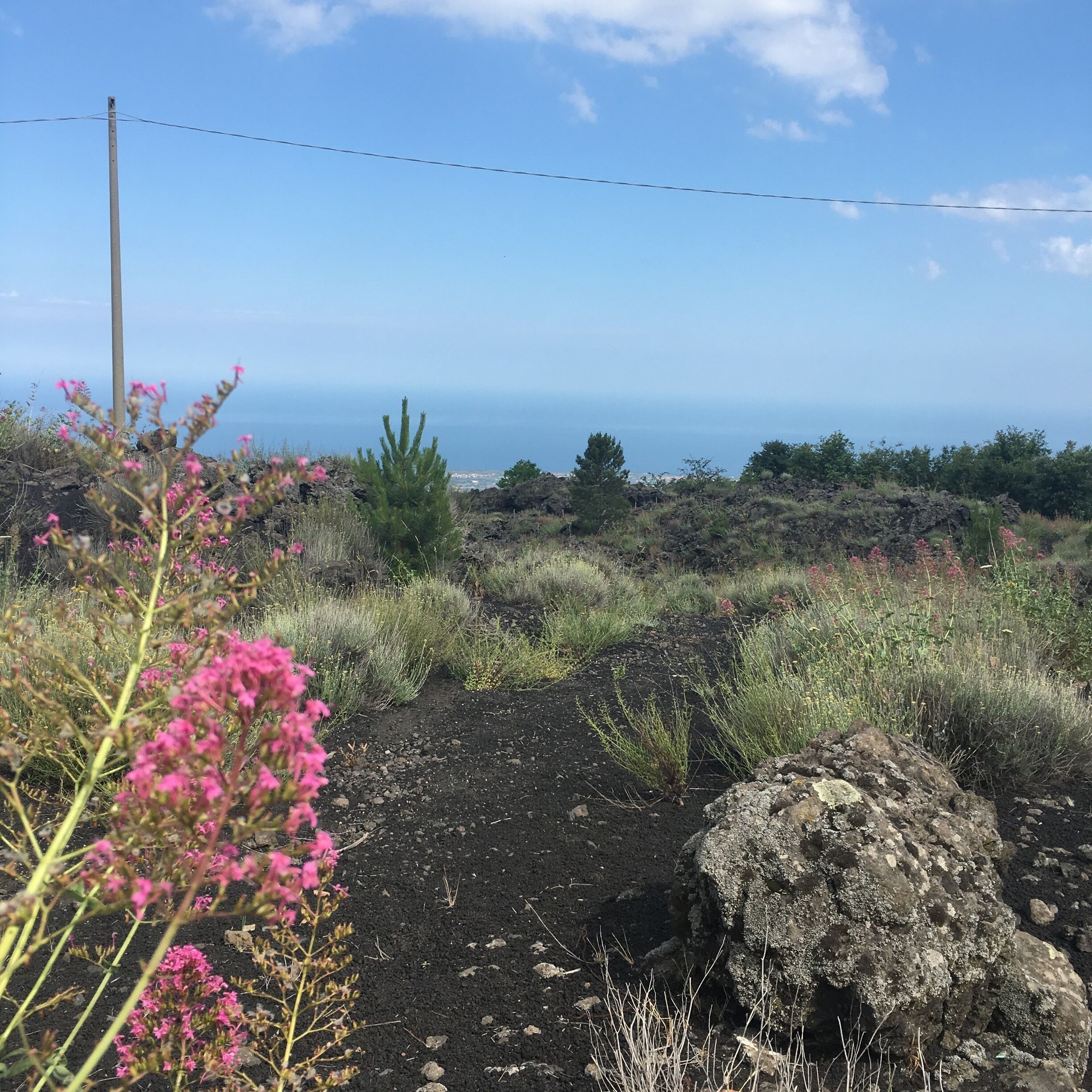 A rocky landscape with sparse vegetation and a clear view of the ocean.
