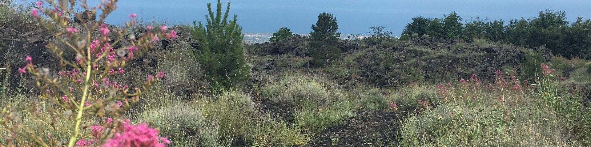 A rocky landscape with sparse vegetation and a clear view of the ocean.