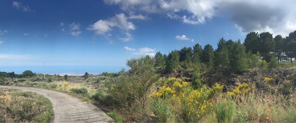 Mt Etna adventure: Drove up to Cave Ox in Solicchiata where we tried 4 different wines, fresh pasta and Tiramusu, on to Zafferana for beautiful views and delicious gelato then continued as high as we could where the kids climbed to the top, we didn't quite make it as high after 4 glasses of wine and pasta, the lava sand is not easy to climb up, but fun to slide down!! Such an amazing adventure!!! It's like Hawaii and the moon had a shining baby, named Mt Etna, I could live up here!!!