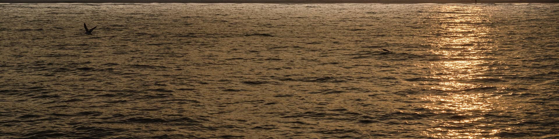 Atakum scene, Samsun city, Turkey