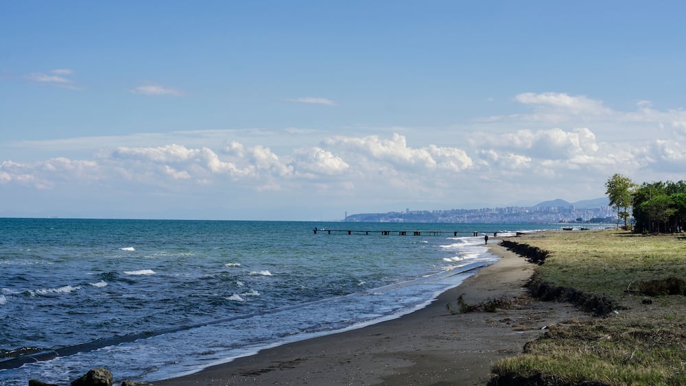 A beach with waves, a pier, and a distant city skyline.