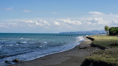 Uma praia com ondas, um cais e a silhueta distante de uma cidade.