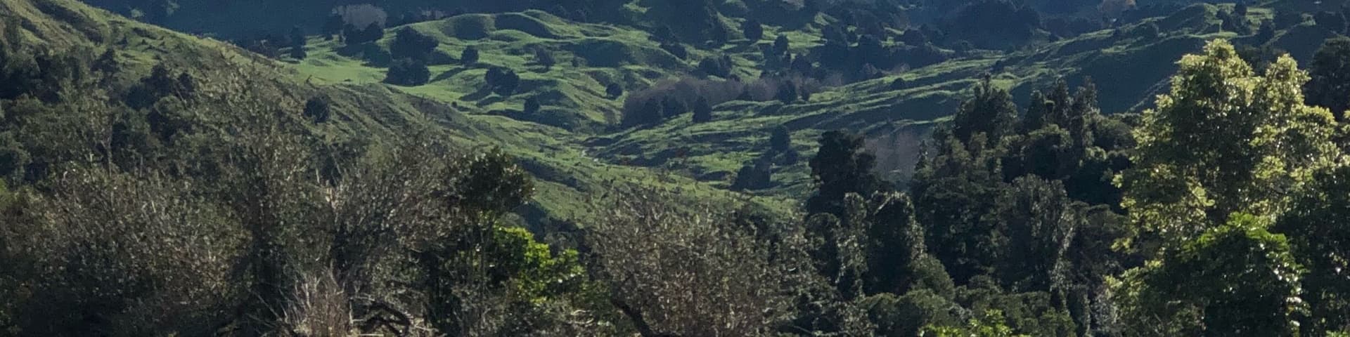 As you drive from Turangi to Taumarunui this view is just beautiful on a clear day. You can see all the way to Mount Taranaki.