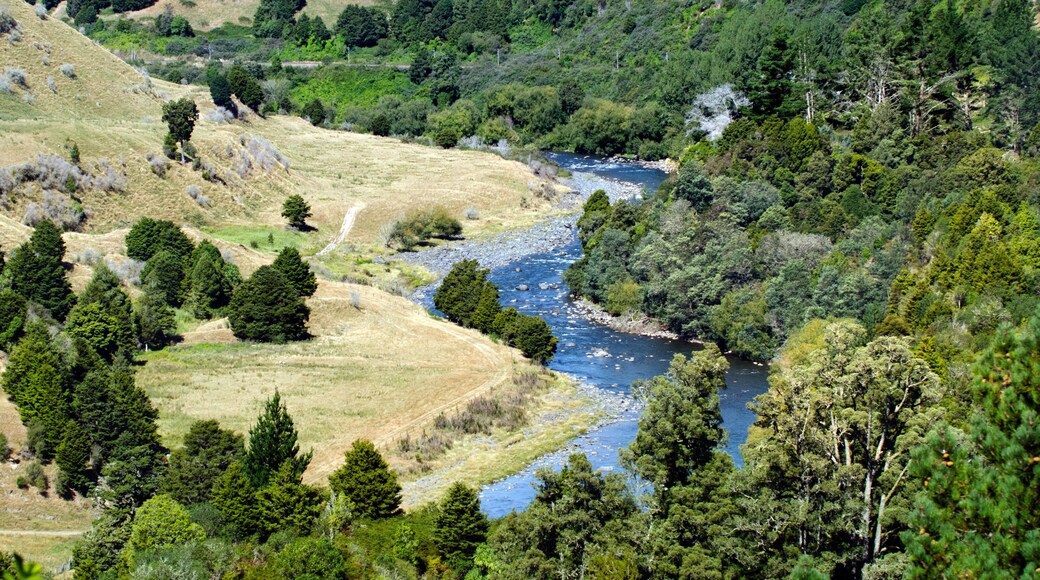 ํ์ฐ๋ง๋ฃจ๋์ด