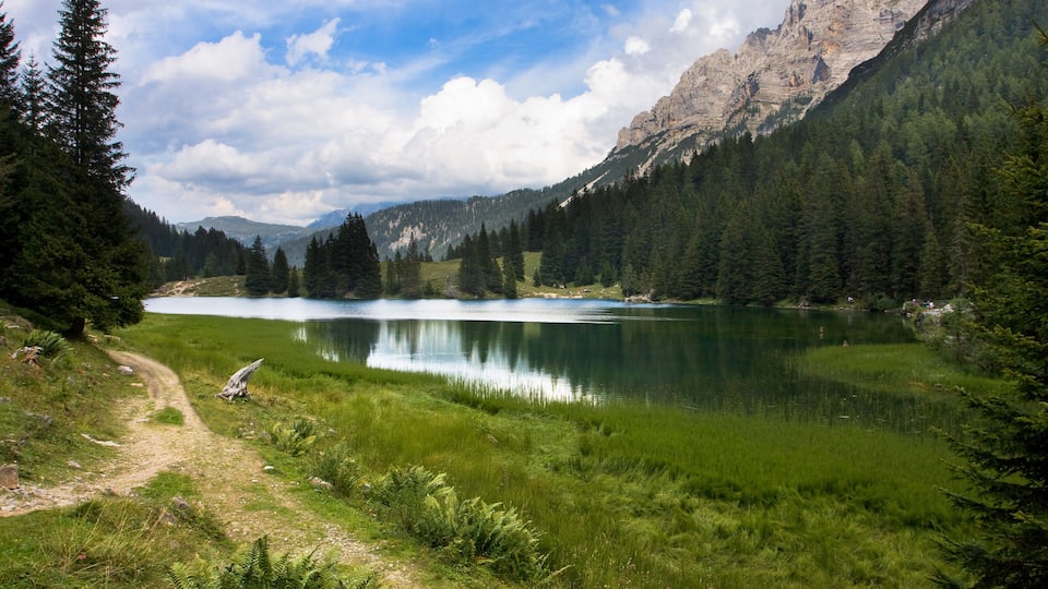 Wonderful nature scenery in Dolomiti mountains (Lake near the city of Madonna di Campiglio).