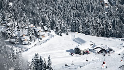 Madonna di Campiglio