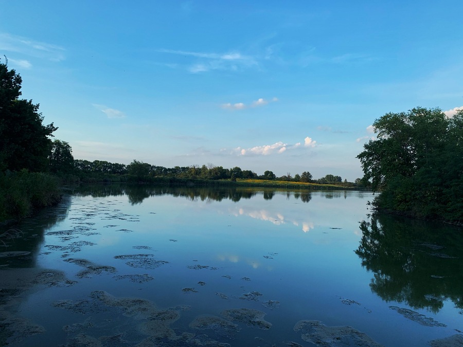 Lake view