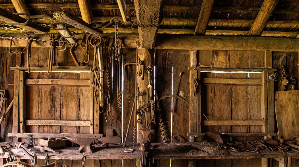 Gympie Gold Mining and Historical Museum which includes heritage elements