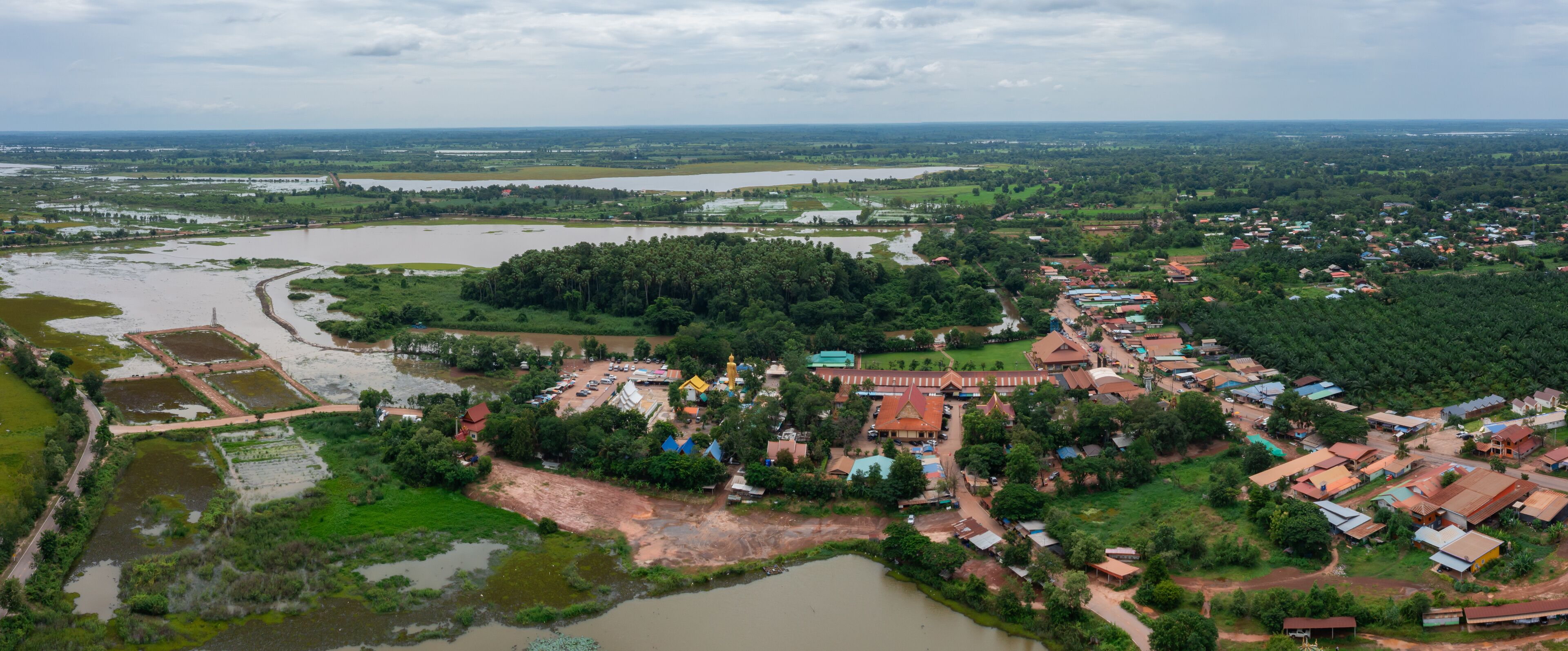 Aerial Chanod trees in the forest at Wat Kham Cha Nod in Ban Dung District,Udon Thani, Thailand.