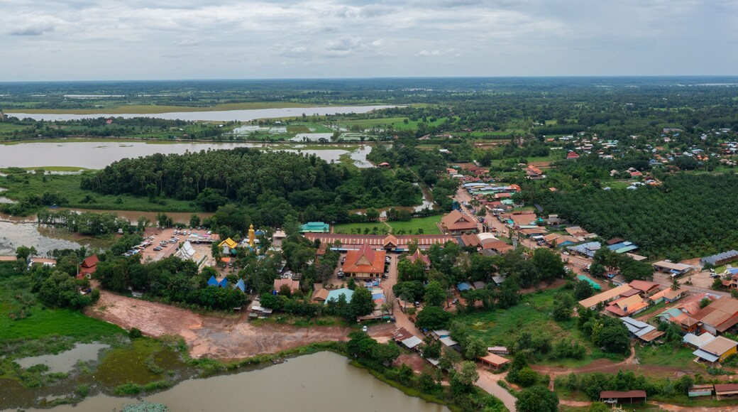 Aerial Chanod trees in the forest at Wat Kham Cha Nod in Ban Dung District,Udon Thani, Thailand.