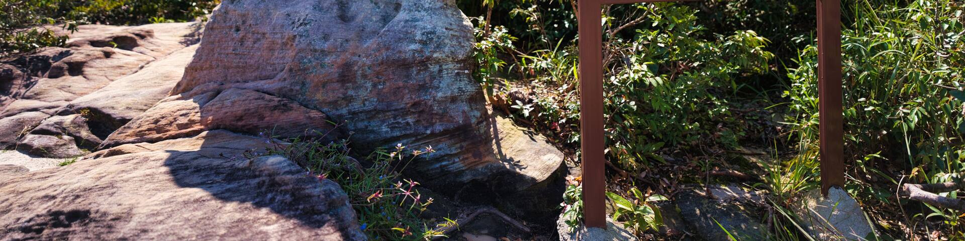 パーヒンガーム国立公園 チャイヤプーン・タイ อุทยานแห่งชาติป่าหินงาม, ชัยภูมิ Pa Hin Ngam National Park , Chaiyaphum, Thailand