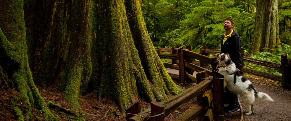 MacMillan Provincial Park which includes forest scenes as well as an individual male